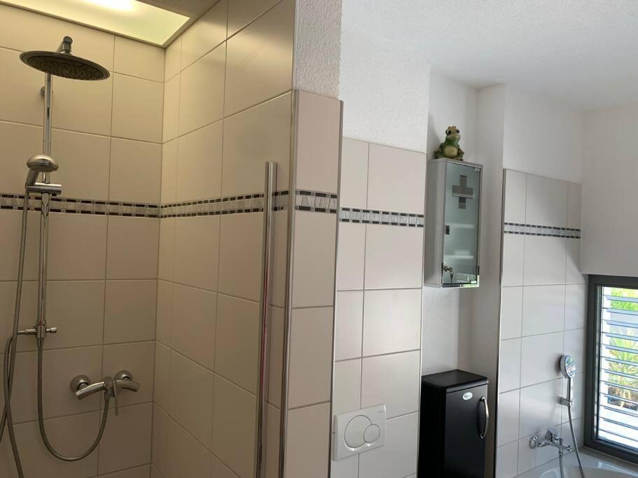 Panorama Apartment Kandern Eksteriør billede